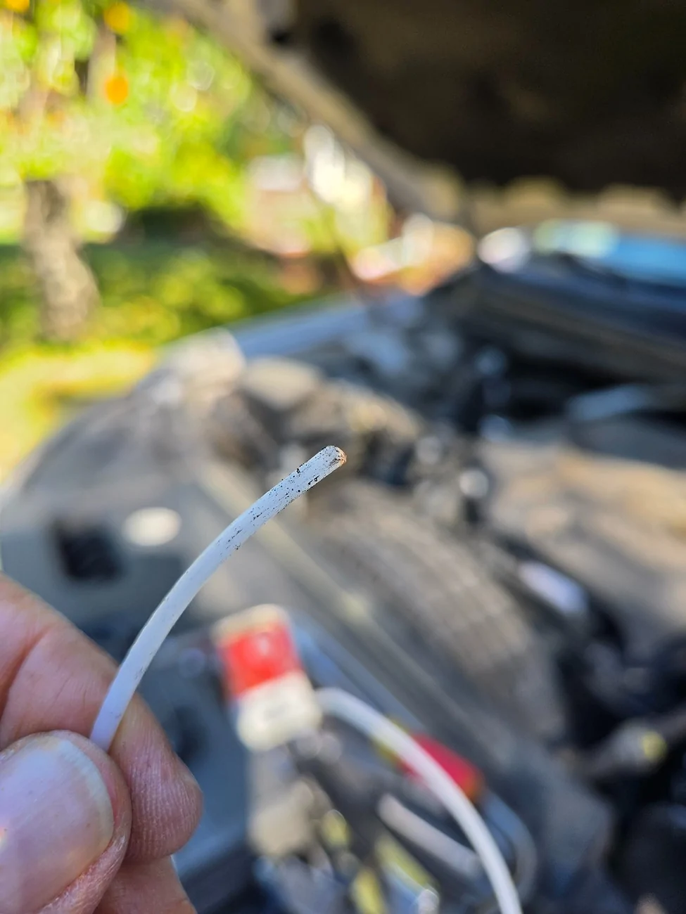 soot on trimmer string 9756.webp