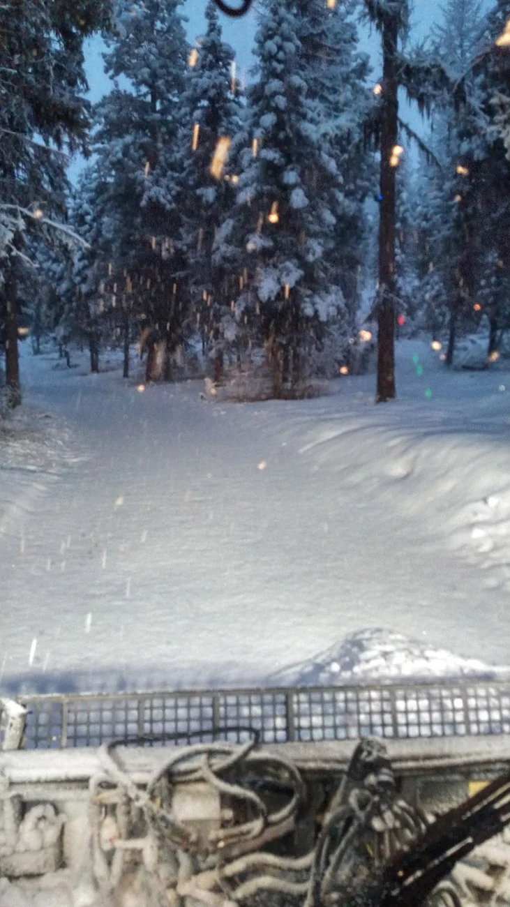 pbpushssnow99212_n.webp