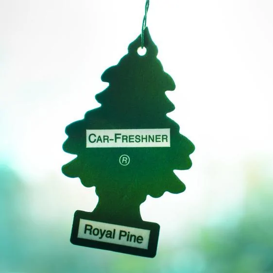 little-trees.webp