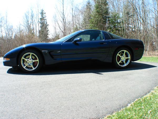 Vette.jpg