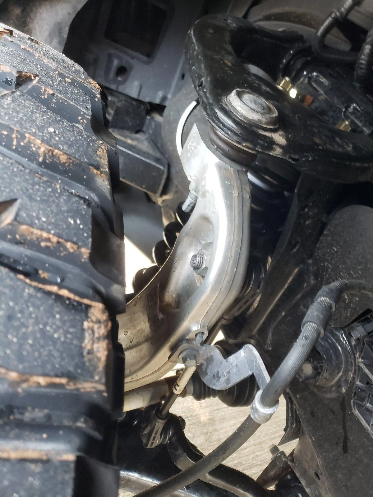 20190205_093524.webp