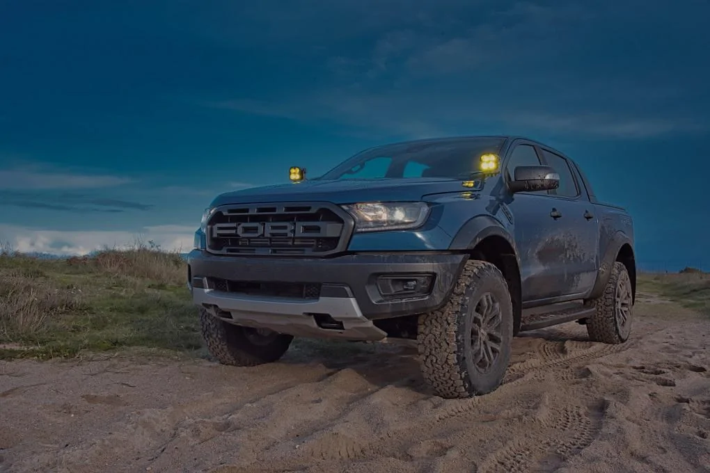 raptor bd.webp