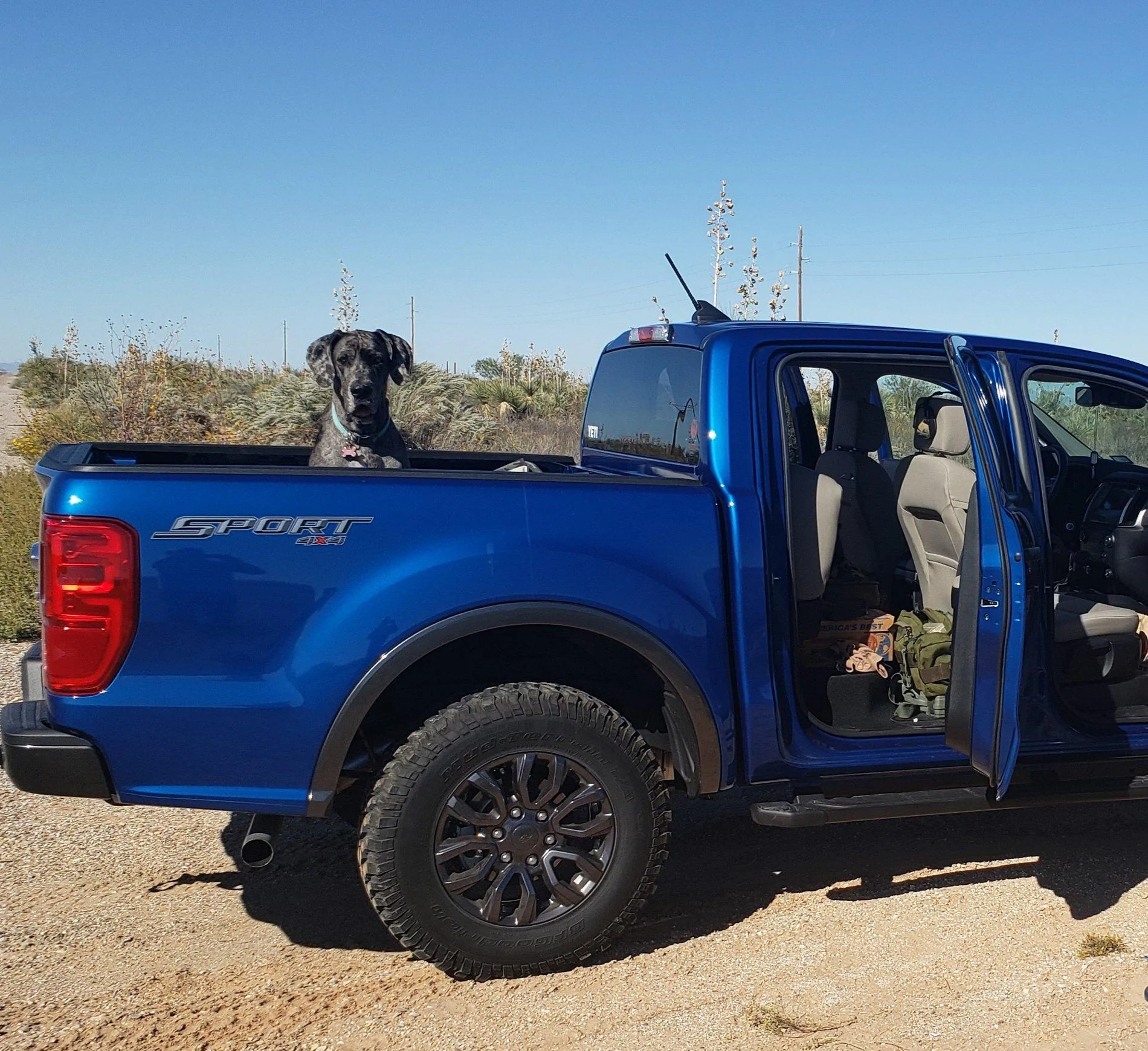 20200120_221002.webp