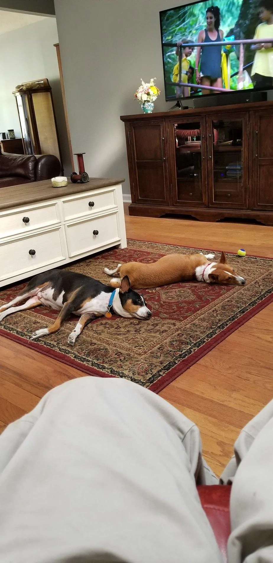 20190502_170113.webp