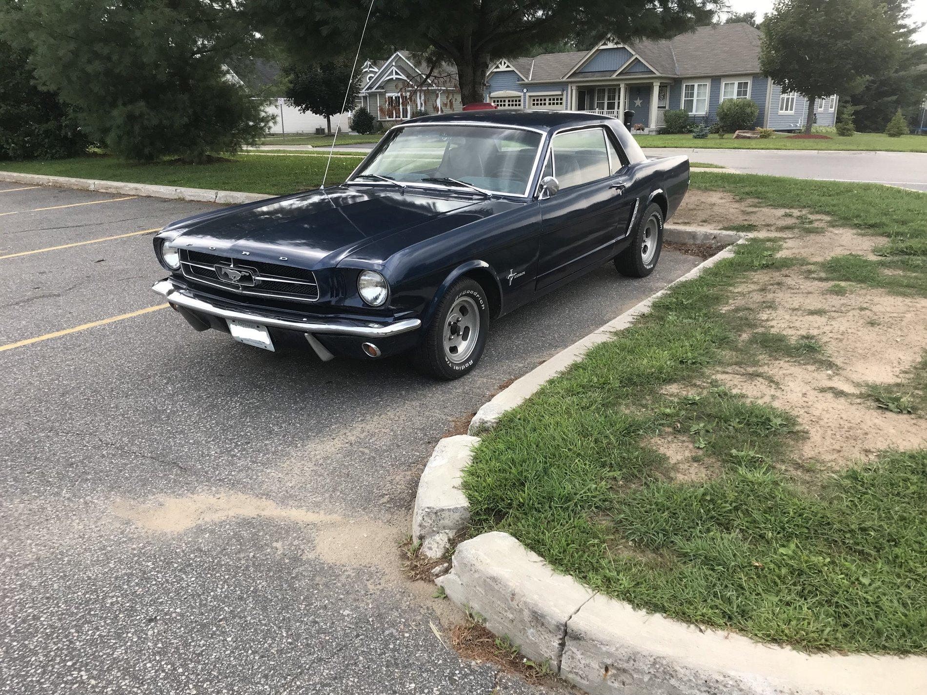Mustang.JPG