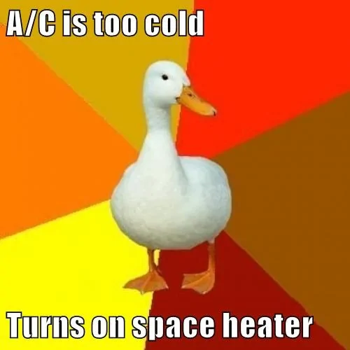 AEED481A-7707-407F-9F8F-BE68F39A4779.webp