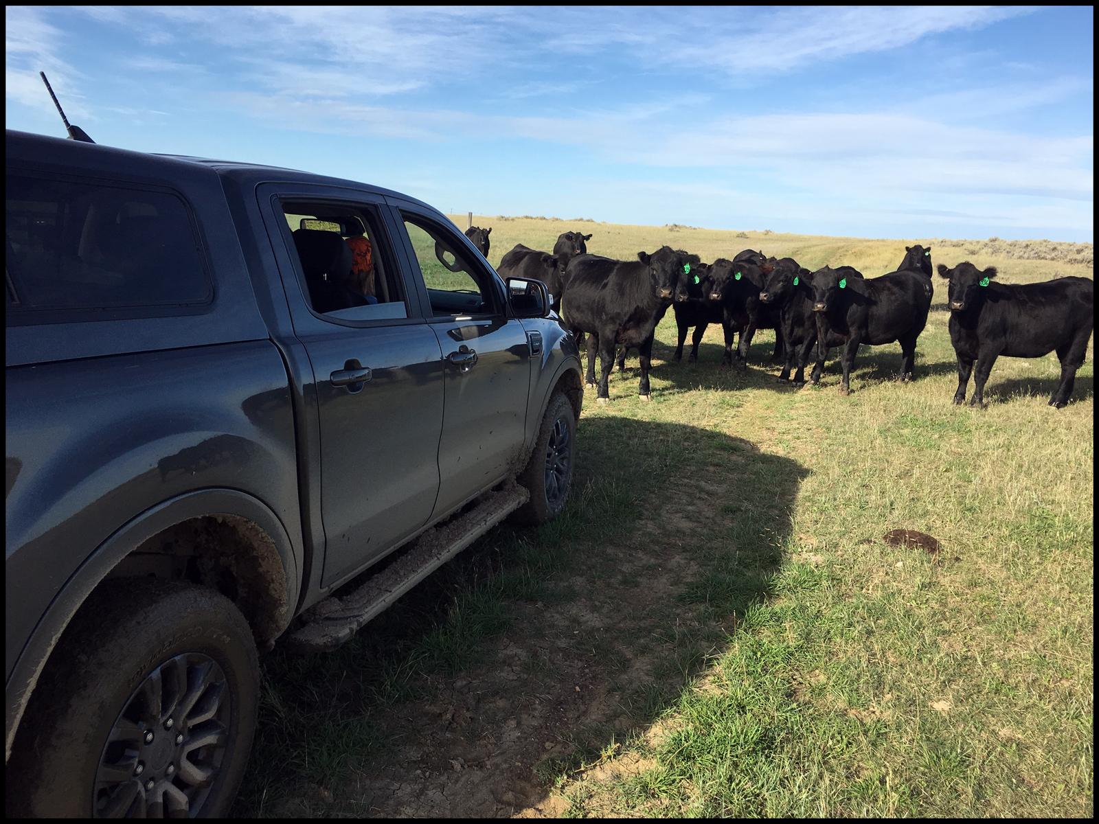 9-20-19 - Montana road block.jpg