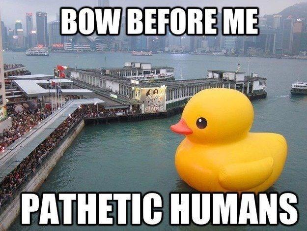 meme-rubber-ducky-lbow-before-me-zar-pathetic-humans.jpg