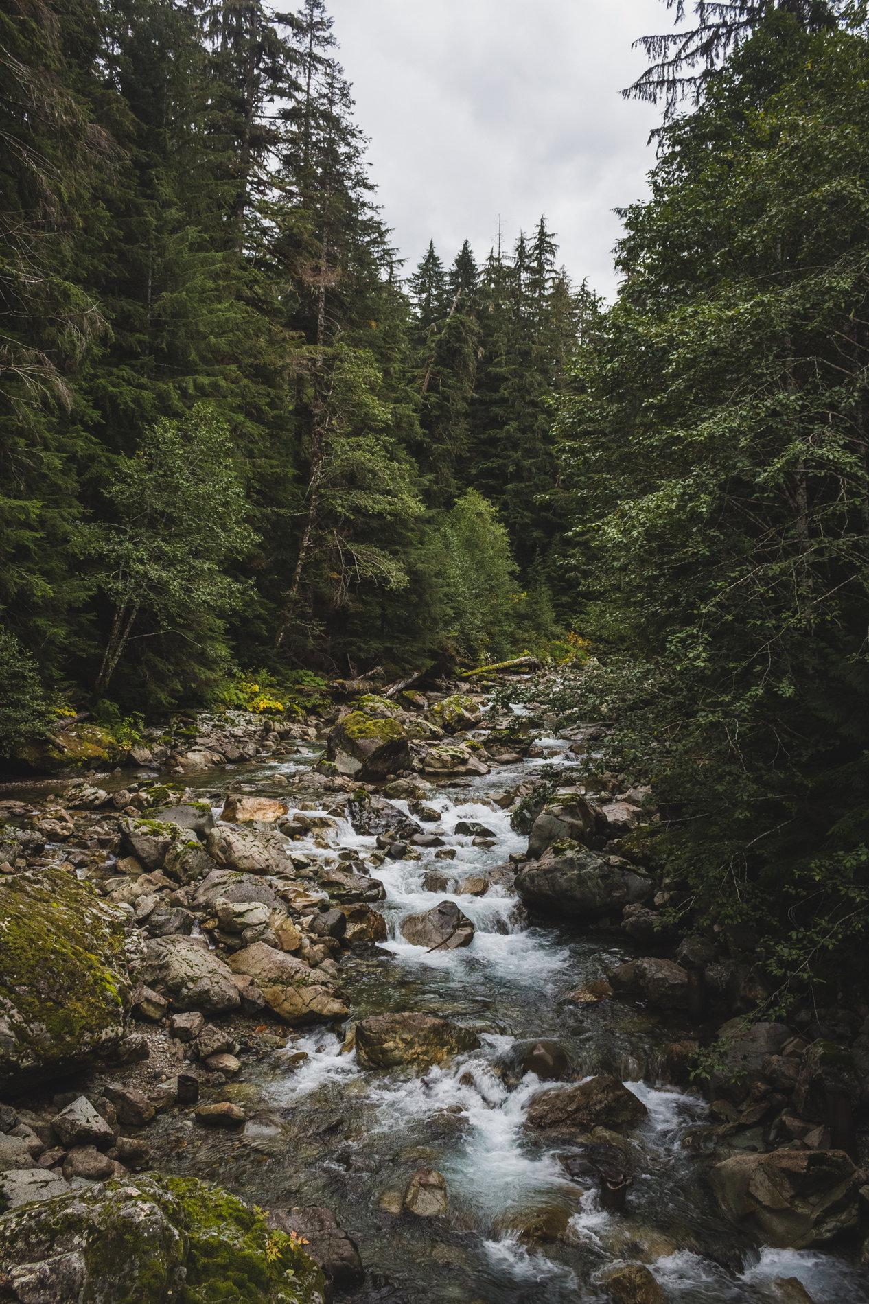 C2C2C-887.jpg