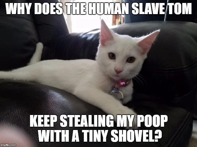 tiny poop.webp