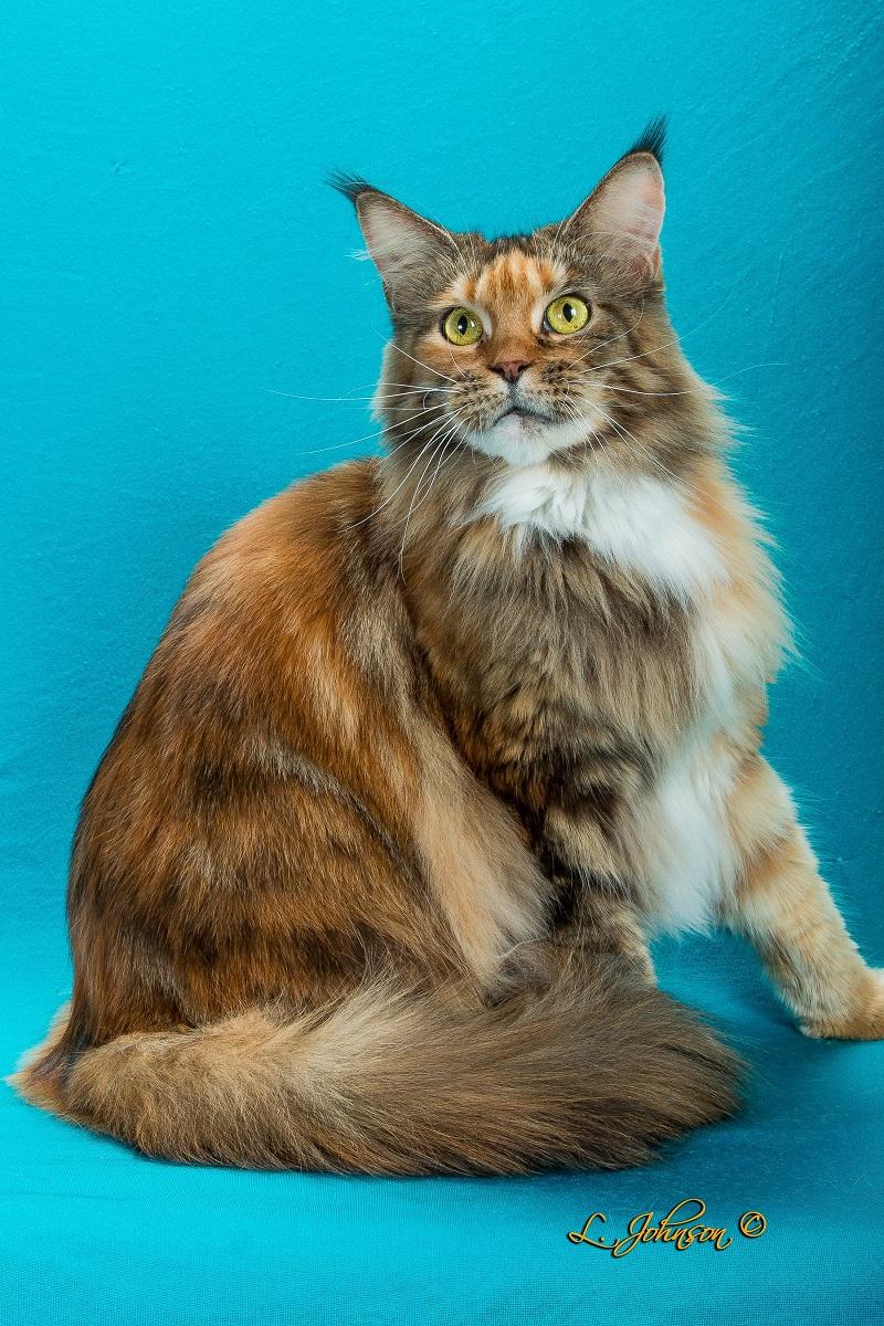 KayseePortrait.jpg