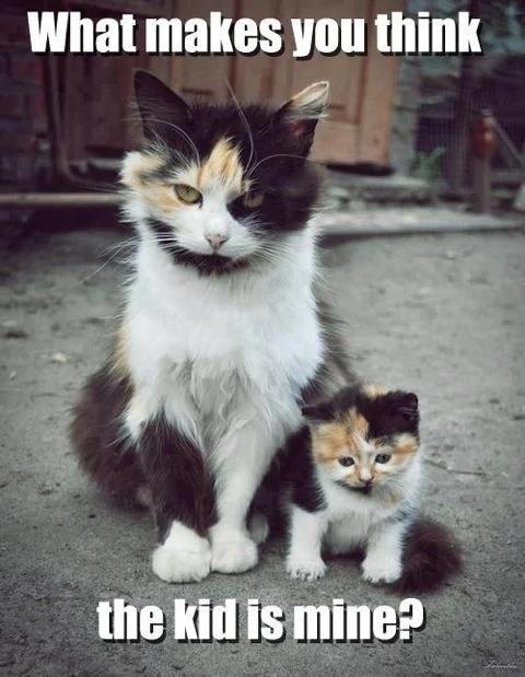 17 - Kid is Mine.webp