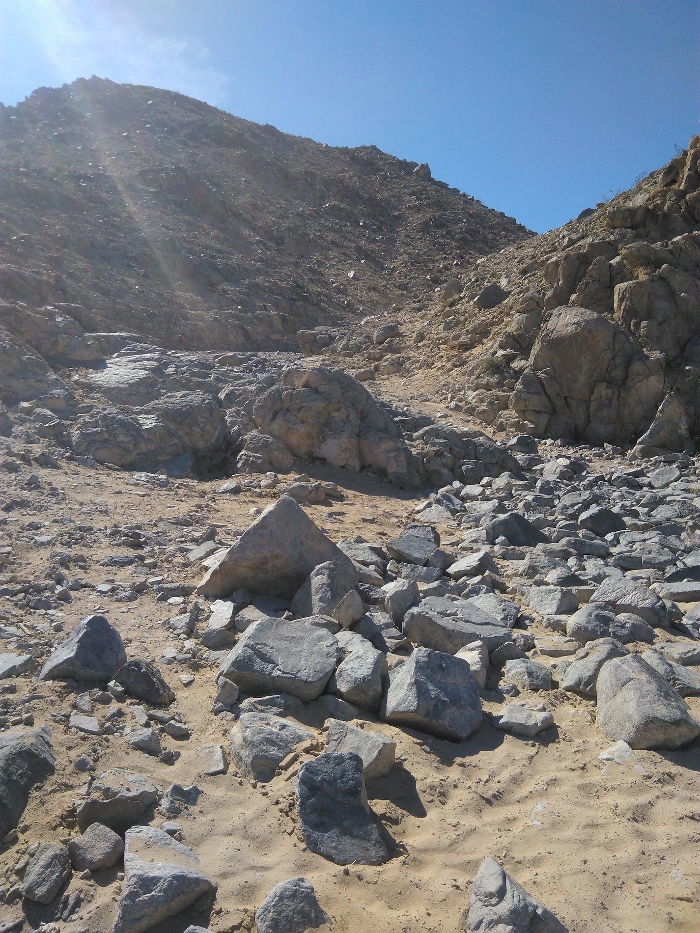 IMG_20200217_131734.jpg