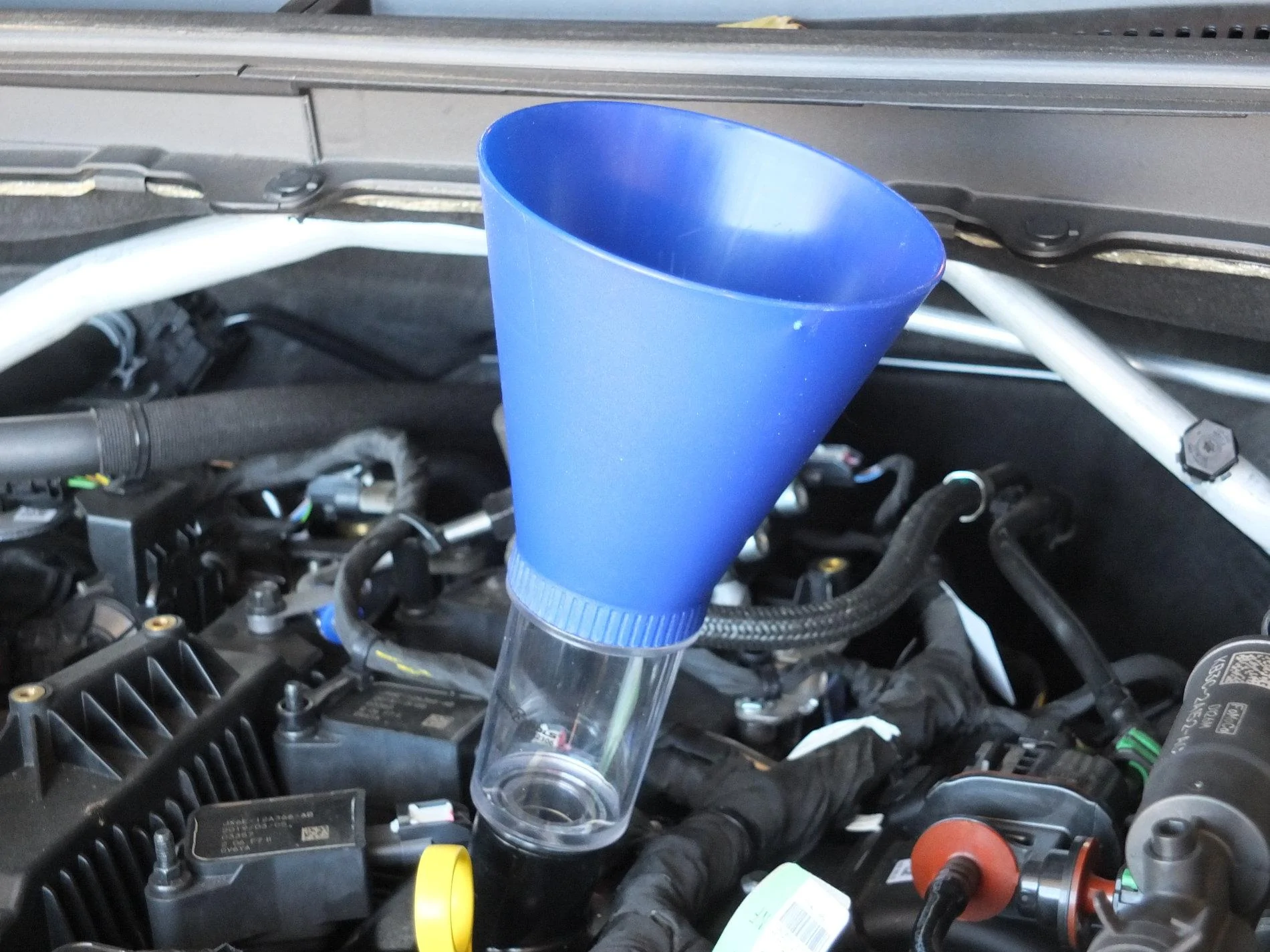 DSCF4336.webp