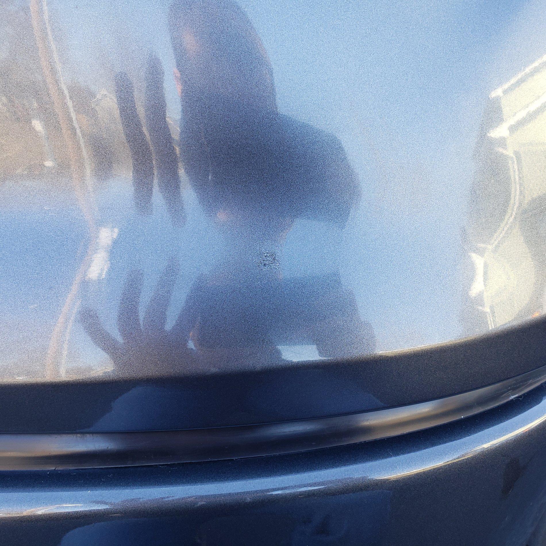 20200224_095241.jpg