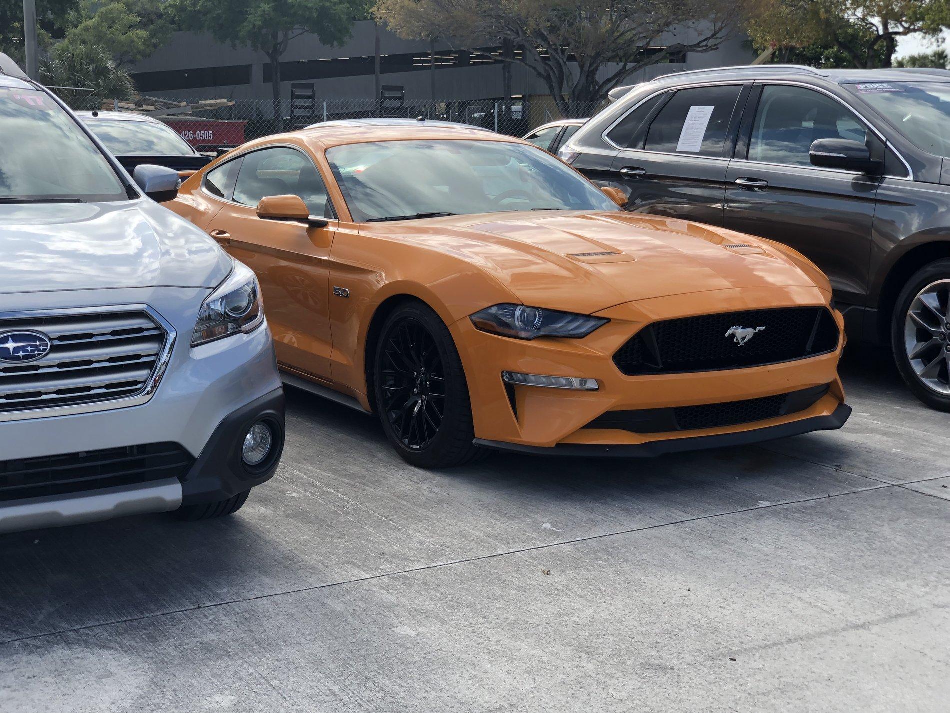 Adios Orange Fury.jpg