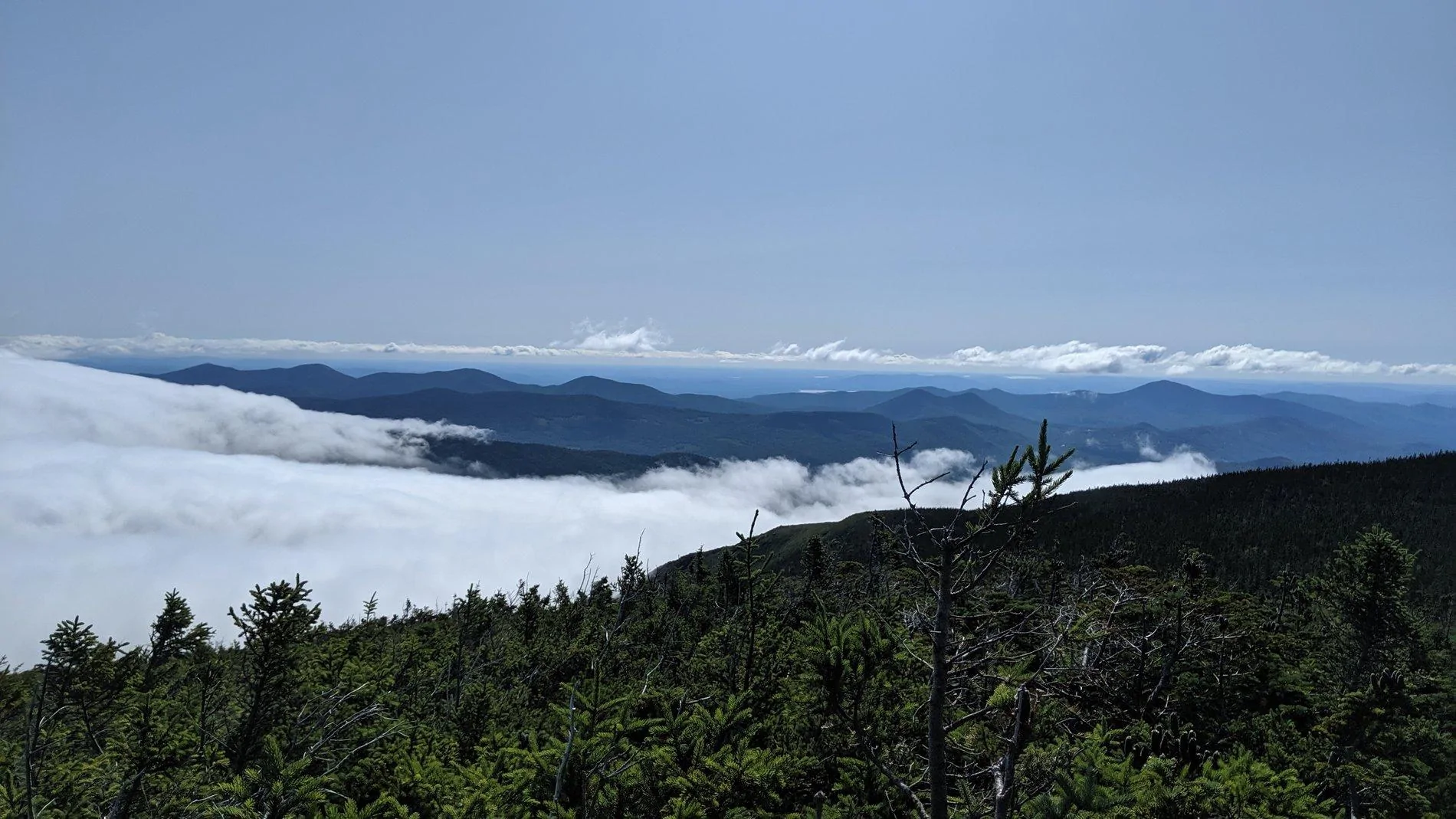 IMG_20190824_095142.webp