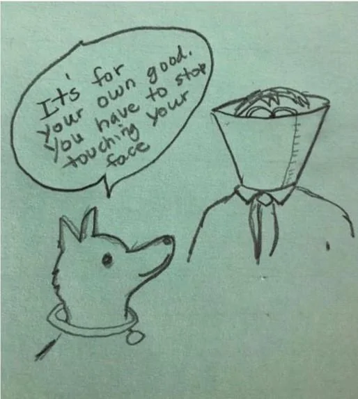 cone face.webp