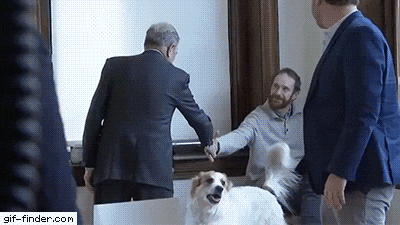 Bloomberg-attempted-to-shake-a-dog%E2%80%99s-mouth.gif