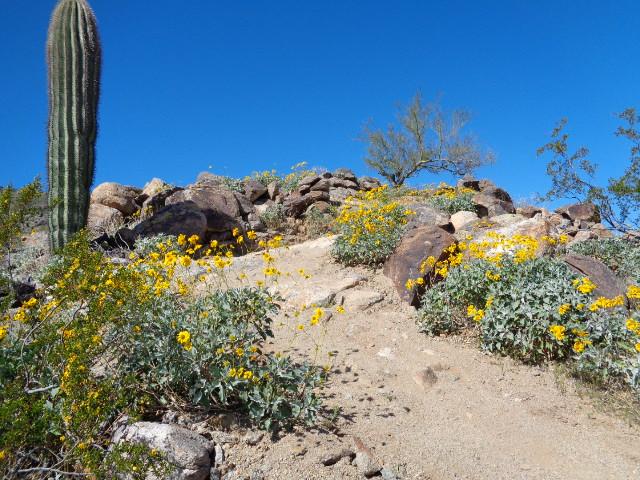 DSC01655.JPG