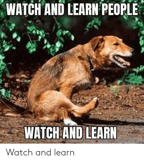 watch-and-learn-70740426.webp