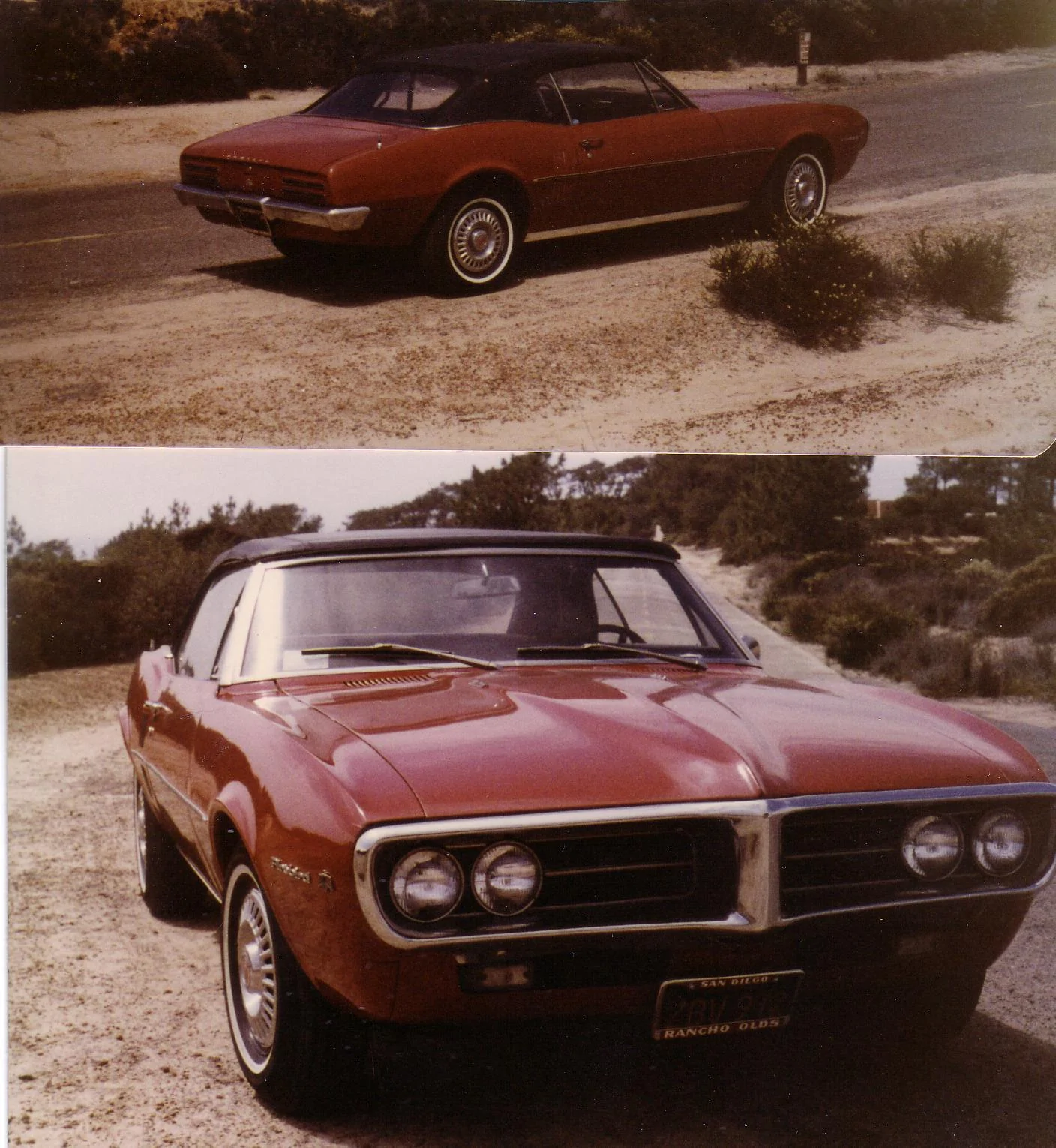 FIREBIRD.webp