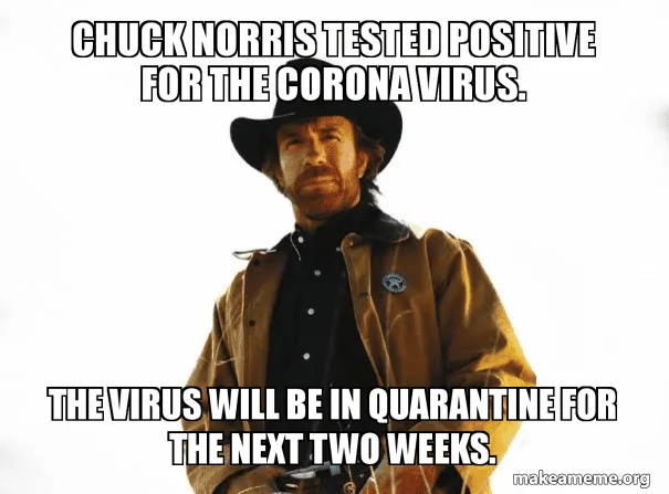 chuck-norris-cv-png.981917.png
