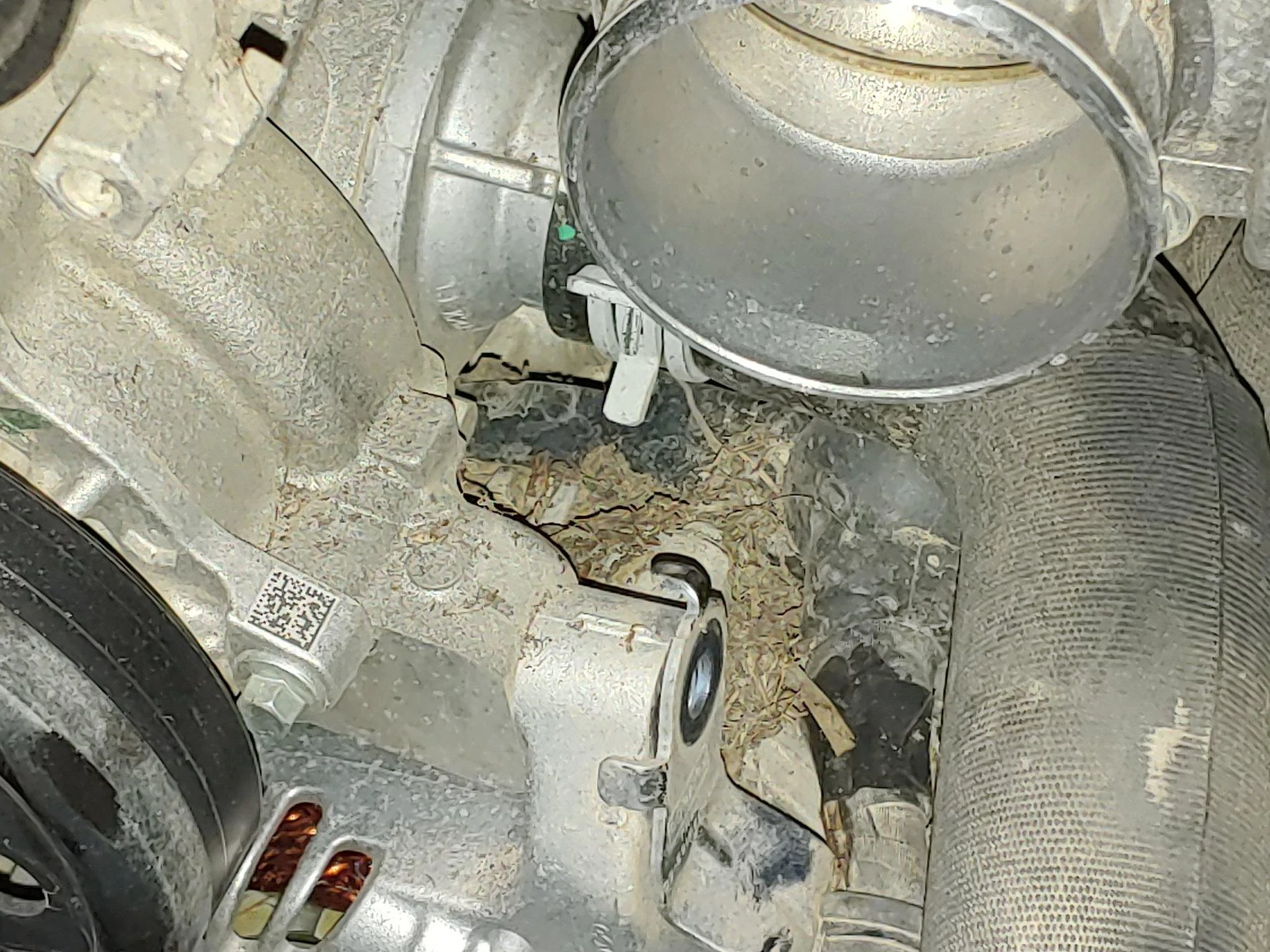 20200401_082648.webp