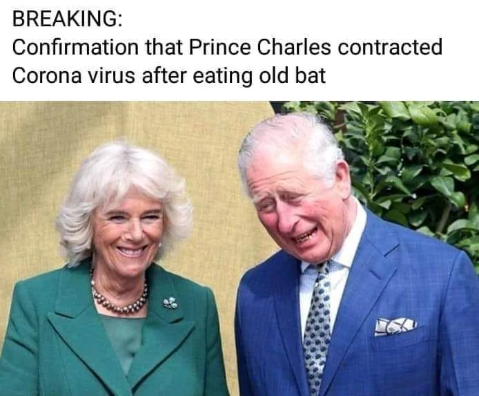 Prince Charles.webp