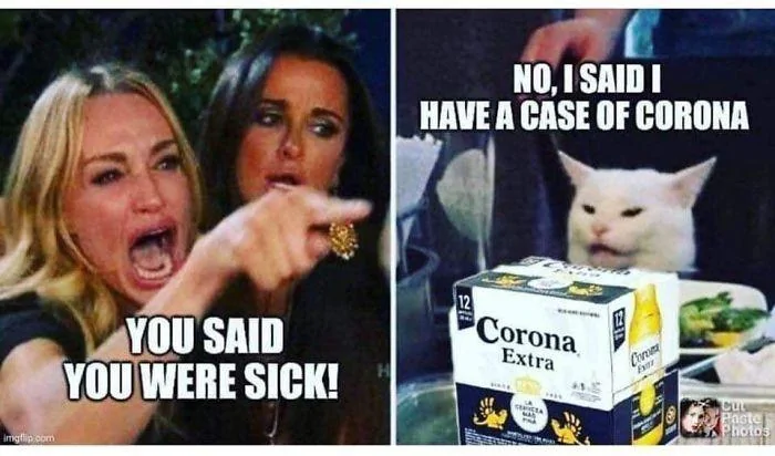 coronacat.webp