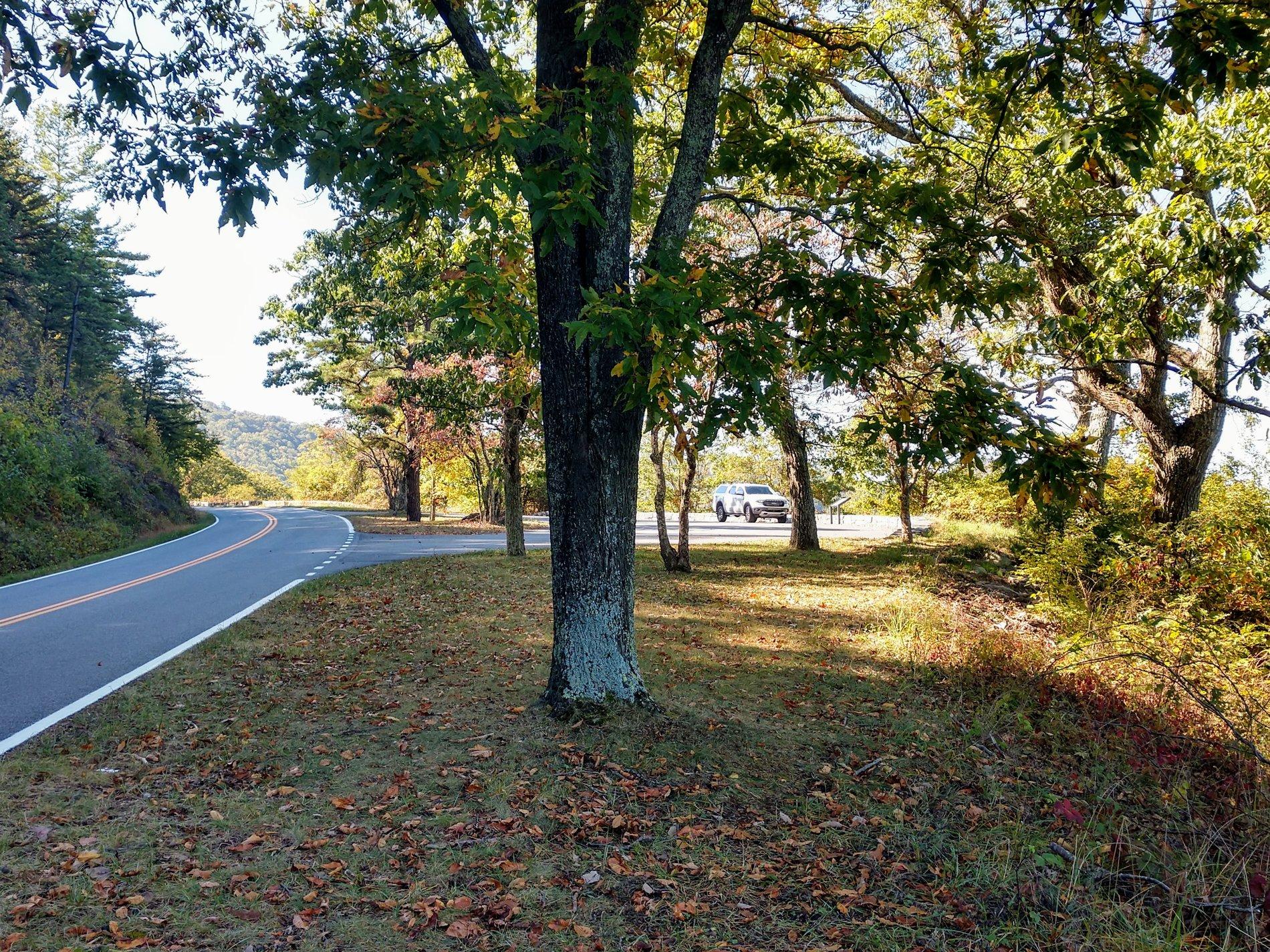 IMG_20191010_111830843_HDR.jpg