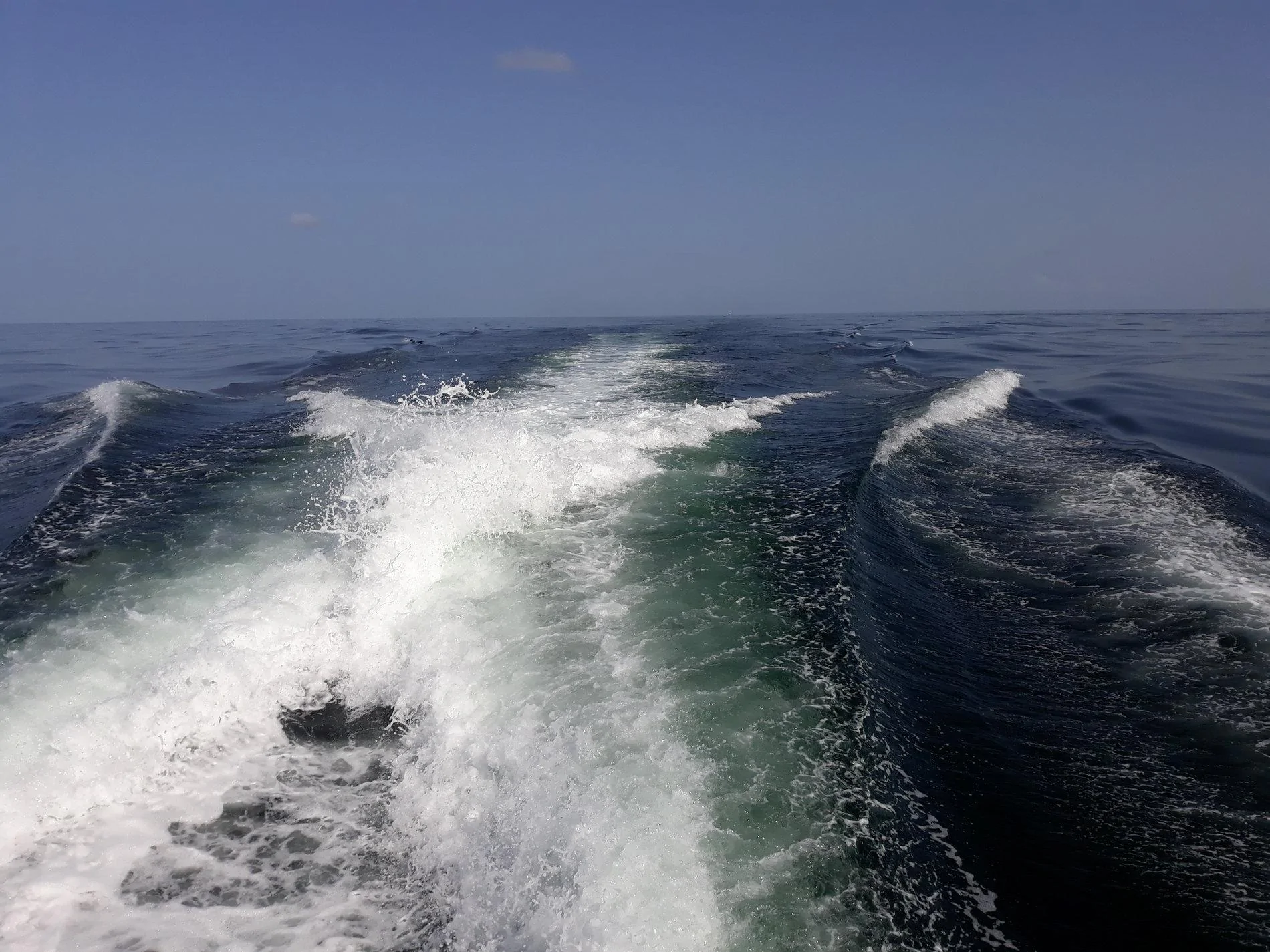 20190628_171403.jpg