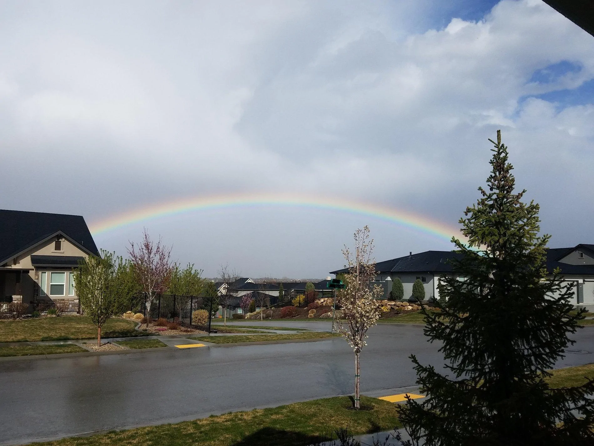 rainbow.jpg