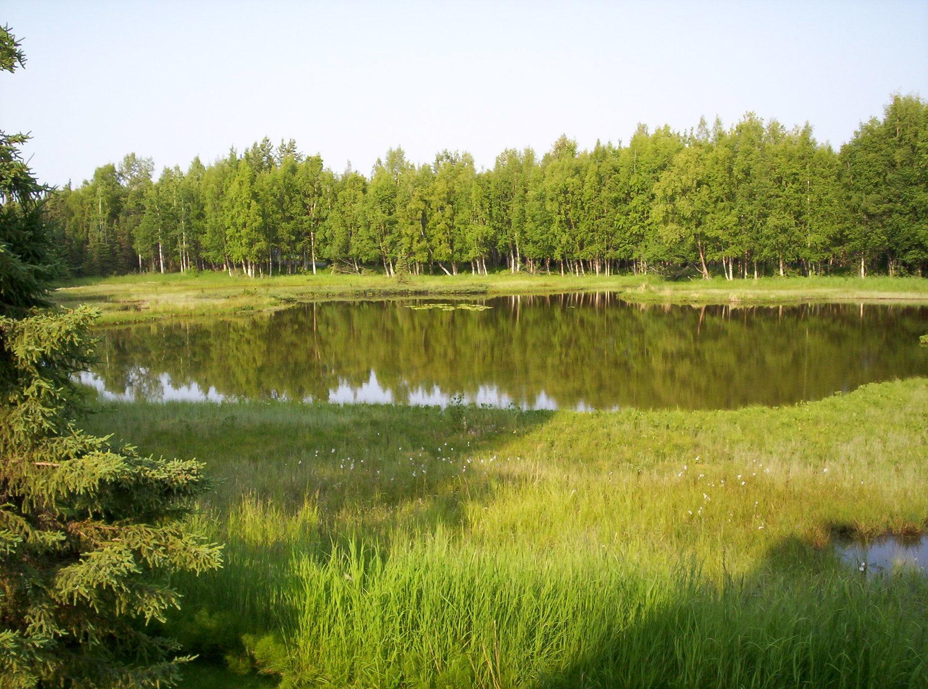 lake pictures 011.jpg