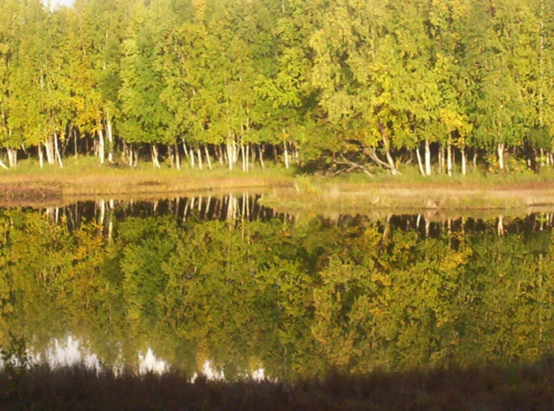 WalMart-Lake pics 004.webp