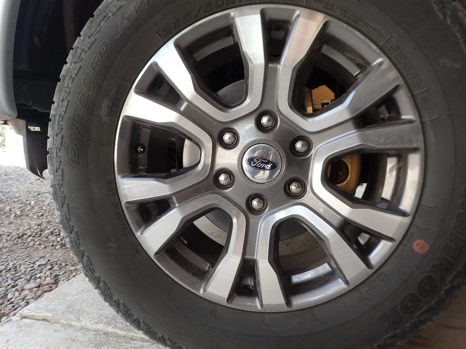 P4021756.webp