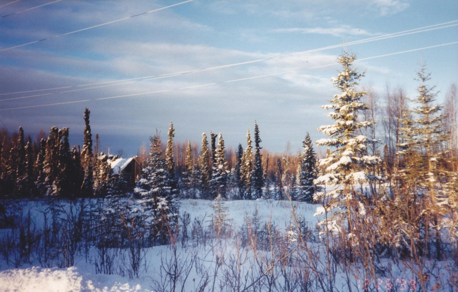 WINTER 89.webp