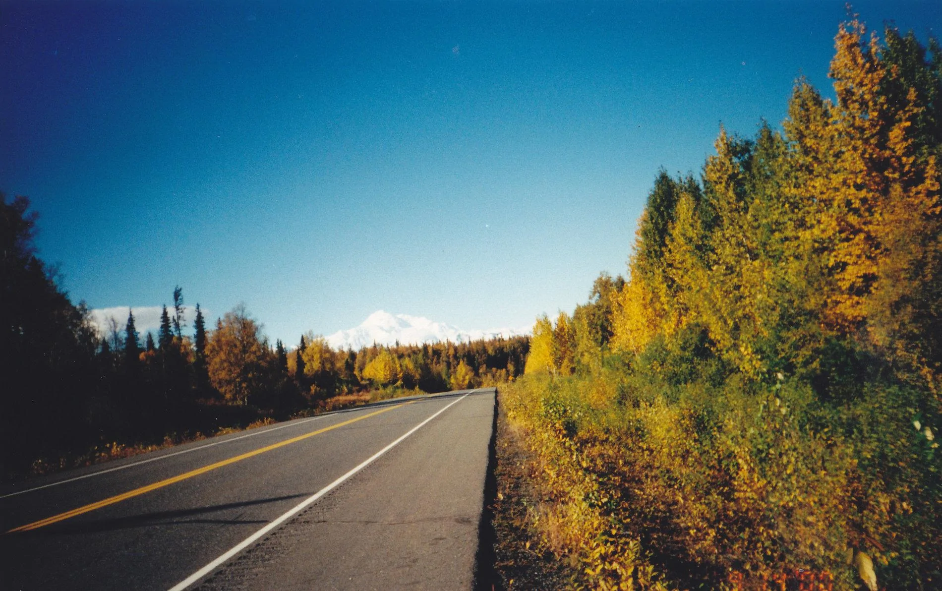 MCKINLEY.webp