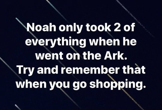Noah.webp