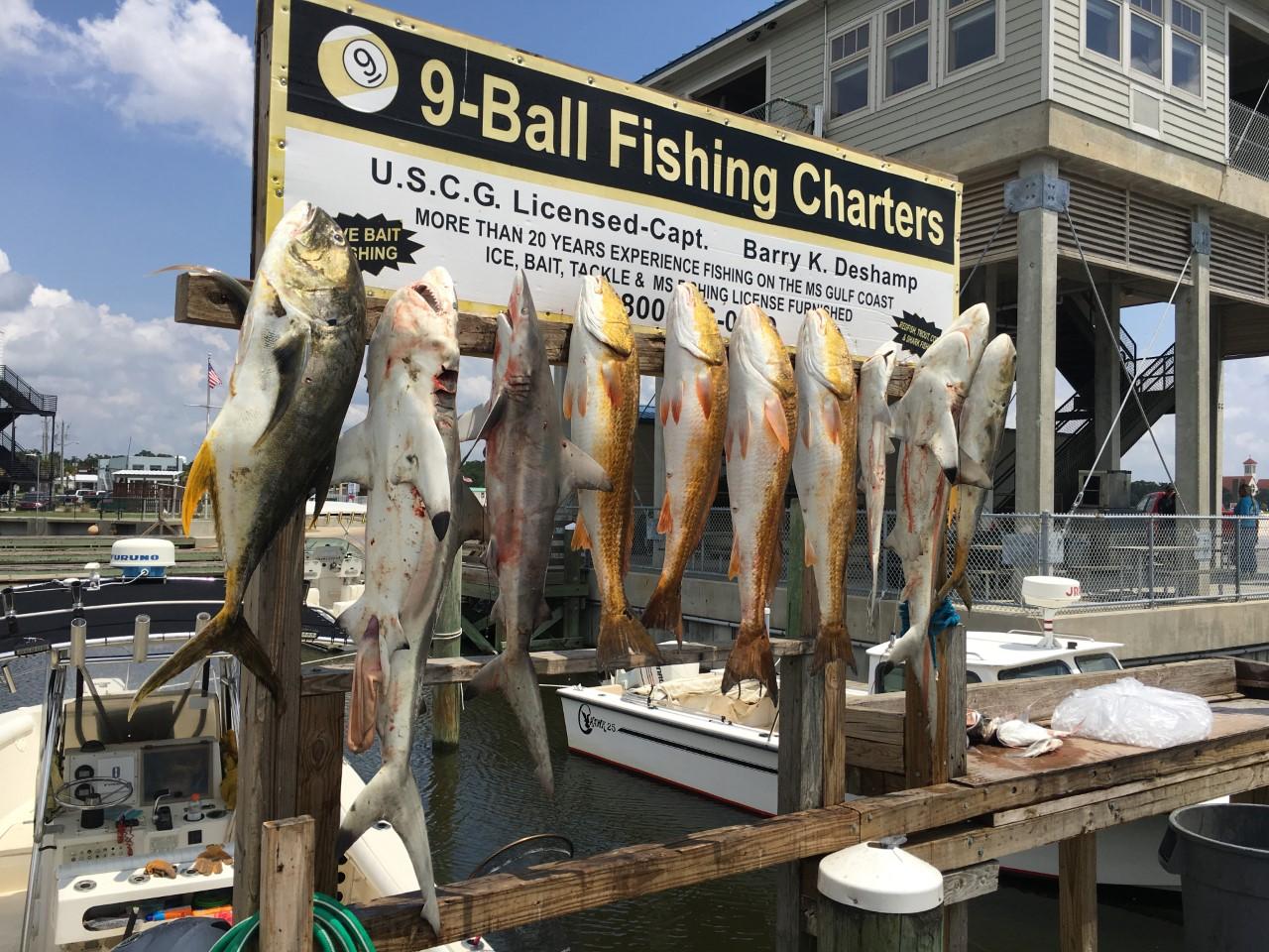 Fish 2018.jpg