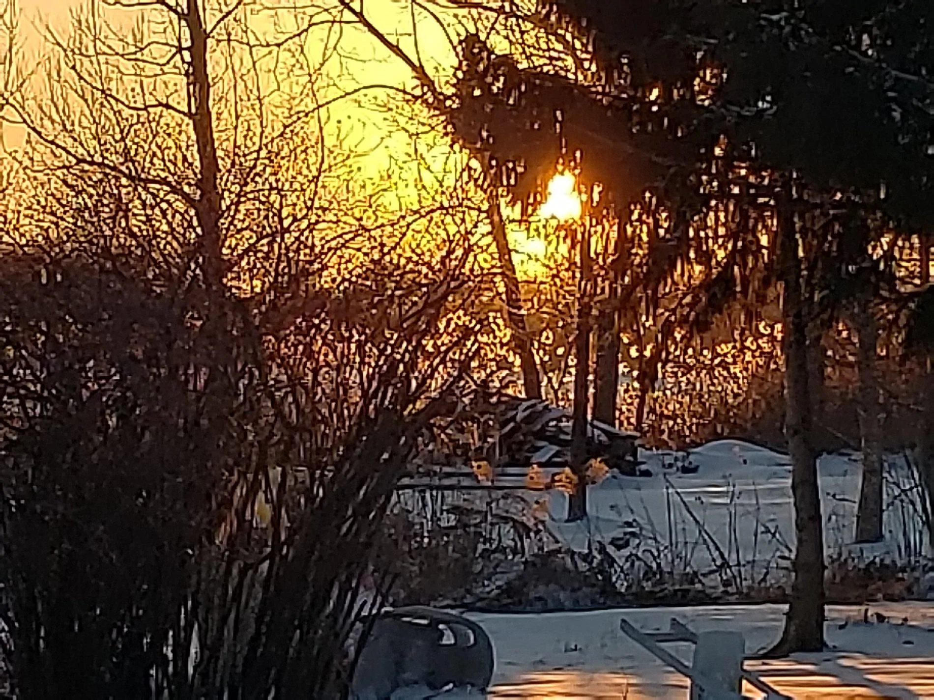 20190218_173808.webp