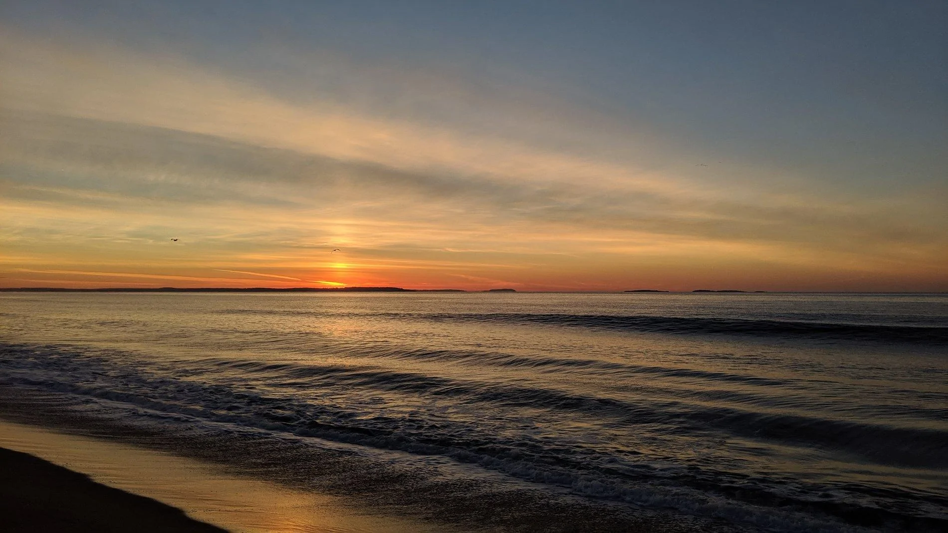 MVIMG_20190609_045646.jpg