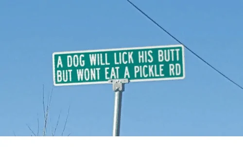 a-dog-will-lick-his-butt-but-wont-eat-a-8050947.webp