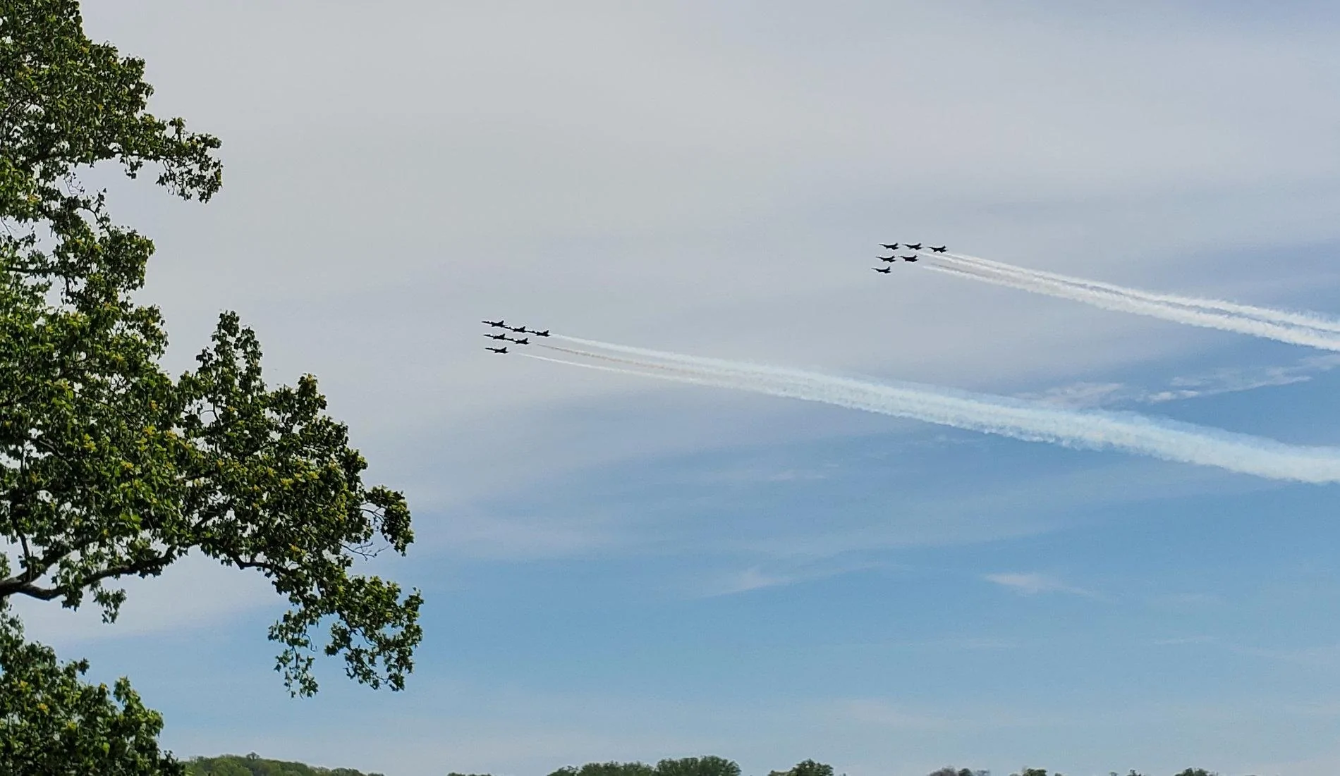 Flyover.webp