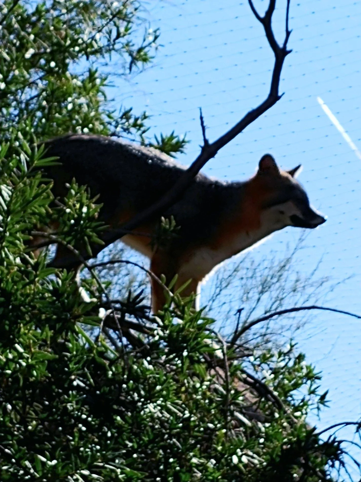 0112201103.webp