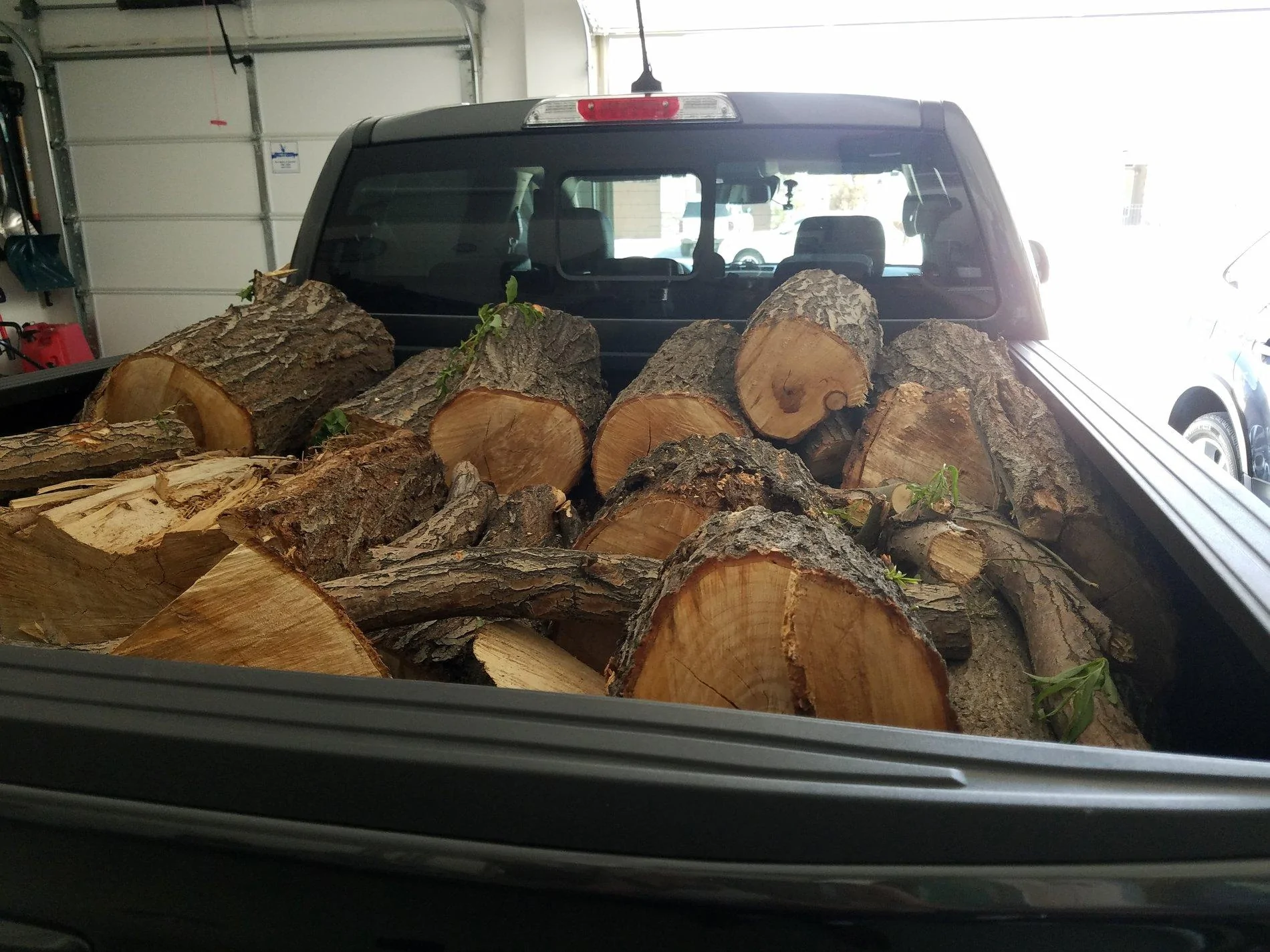firewood.webp