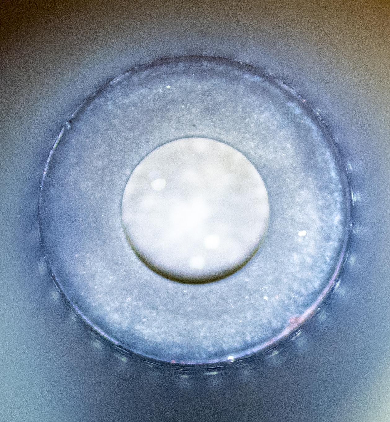 A7300985.jpg
