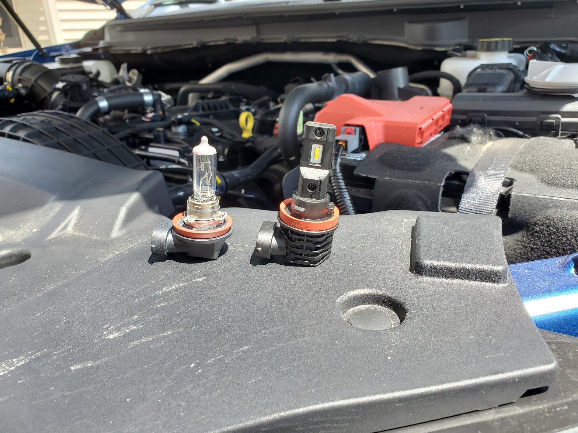New Bulb.jpg