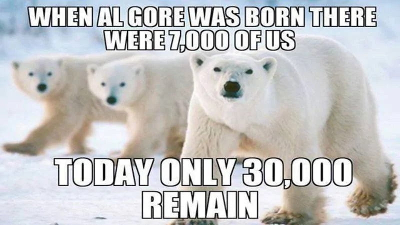 66369372779_n.jpg