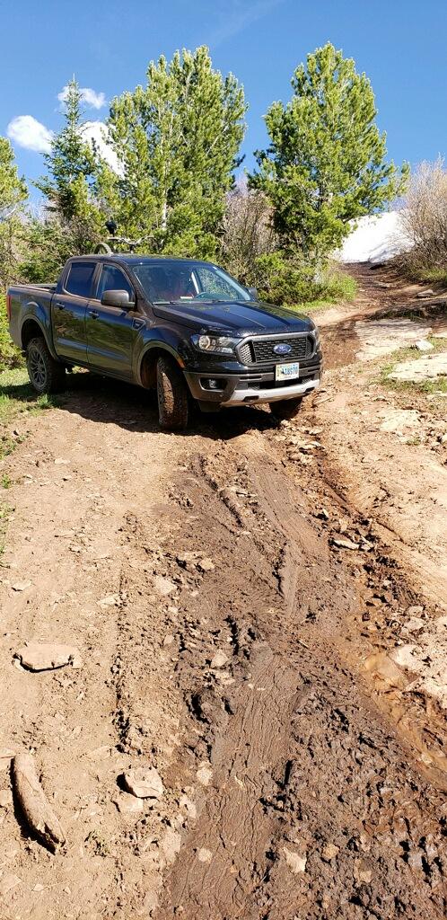 off road 3.jpg
